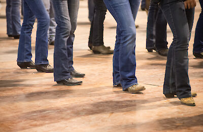Modern Line Dance Club